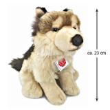 Georgie  der Leitwolf