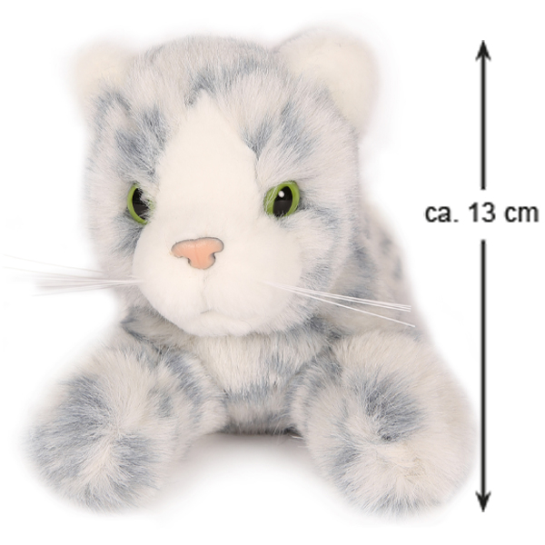 Caroline die Katze